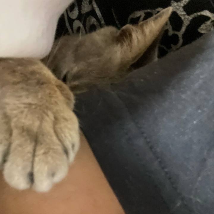 F9ff7998 bea6 4f26 b5e2 cb147ae5dd91 1623980354961