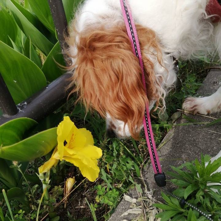 F9ff9183 a5fd 475c b53e de7766b0b2cc 1622590857891