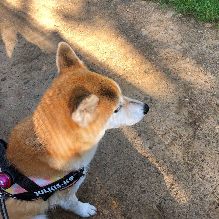 Fa004cc0 5f0c 425f a3cb 525607a34d5a 1569898418532