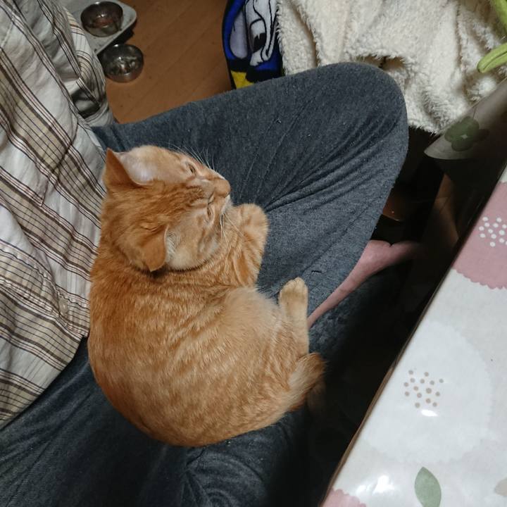 Fa0050a0 97a0 466a 9ee3 3e0ee8fdafa4 1635122571126