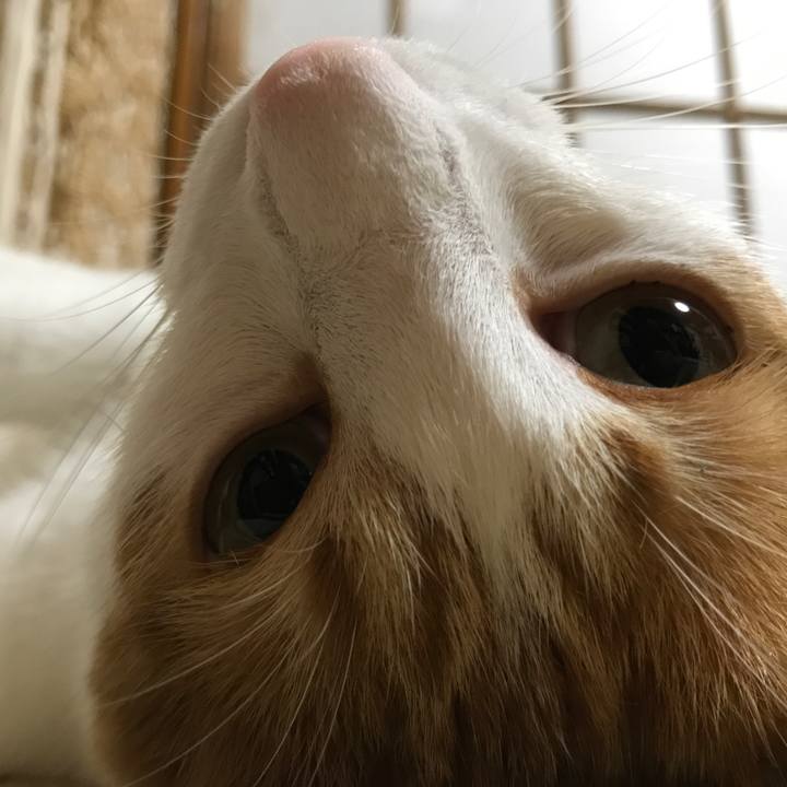 Fa00613b 07ce 482e b643 5d1de0735759 1533553869238