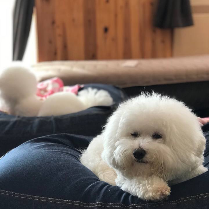 Fa0079ca 6bb0 4fe3 a0b0 fb4fa376da5e 1551915892408