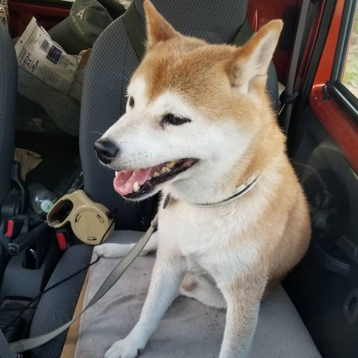 Fa0094ef 22c7 4ba5 91c8 9ec039200579 1629014119438