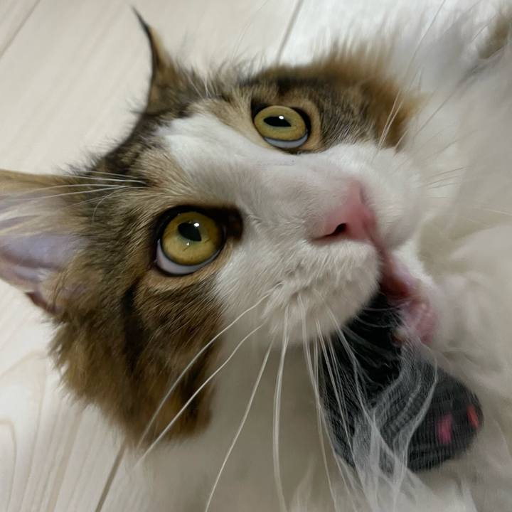 Fa0099eb 6499 4834 8019 e37149ada4e1 1646313589709