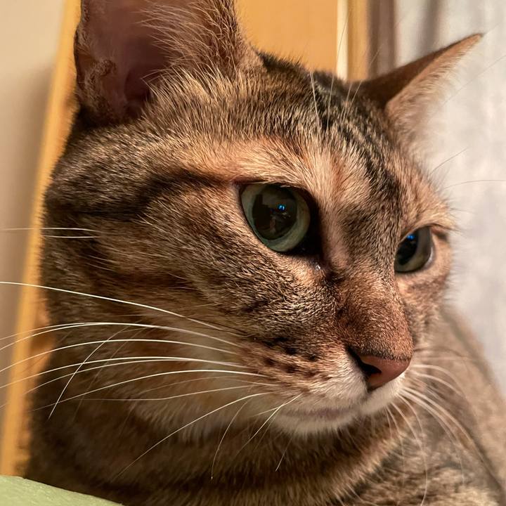 Fa00df66 5a6f 4c6f 9e53 a1def037e19b 1701521152703