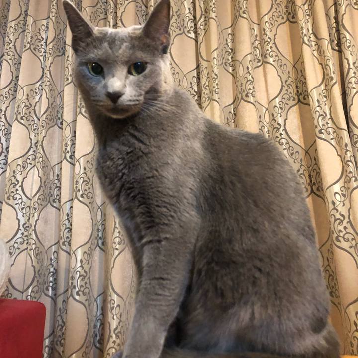 Fa01483b 79de 4083 8ab8 db30ee10768b 1569765552898