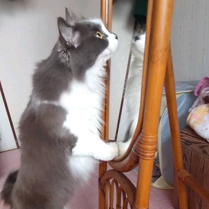 Fa0151ef 05d1 496c 9fa9 9275e980f451 1671332109572