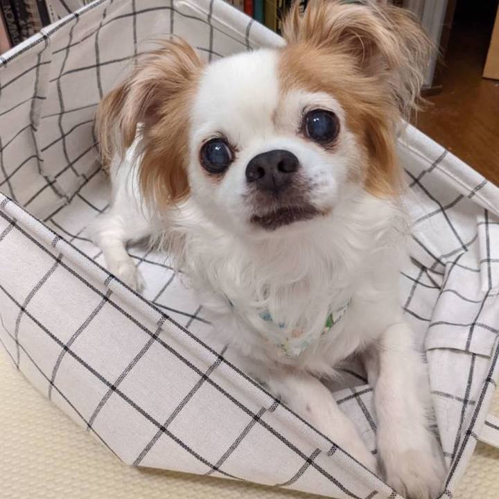 Fa015d8d 910c 43e3 85f9 a575a95d6403 1747581180869