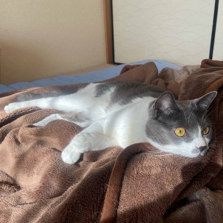 Fa019558 830a 4953 8065 2f743e907795 1639186163668