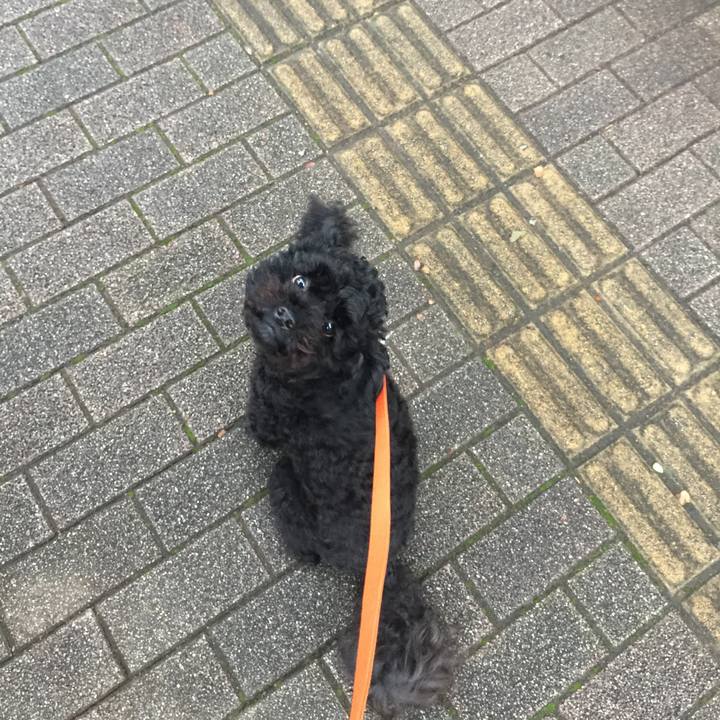 Fa01af67 1bc5 4230 9062 e11e3f268ce7 1529054043230