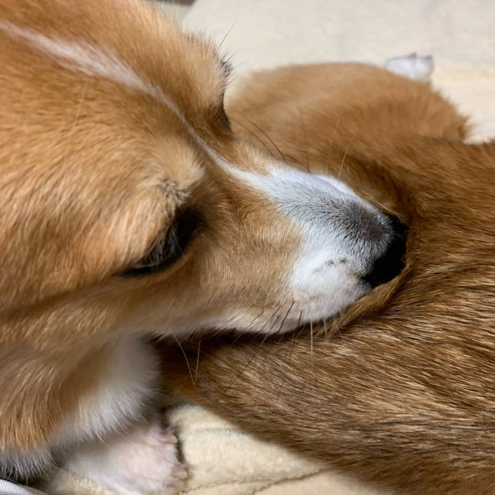 Fa01c813 b5aa 4b14 be0b 1d7388cd6eb1 1600648118879