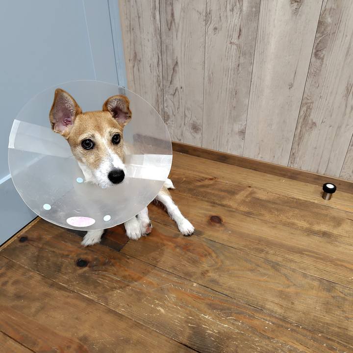 Fa01e1c3 0371 4c7b b331 58c7aa25ee9f 1720710696153