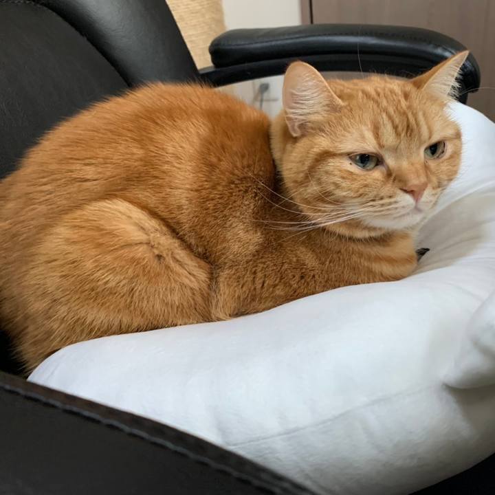 Fa01fadf 08b1 42a3 9309 7ea592a1b8de 1620541613784