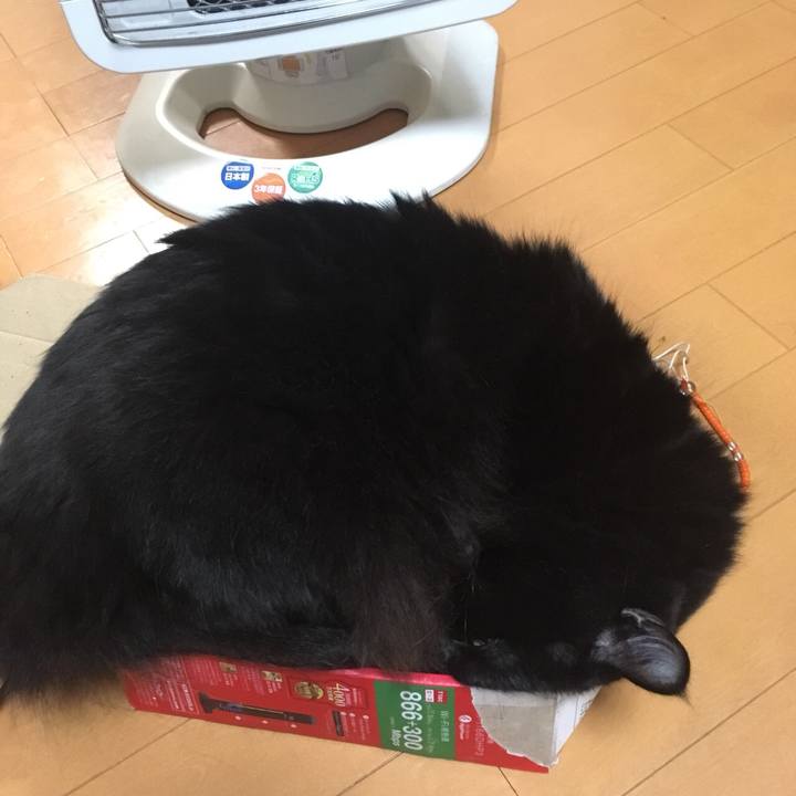 Fa01fe47 a5db 4cba a581 8db63d48284d 1539767298297