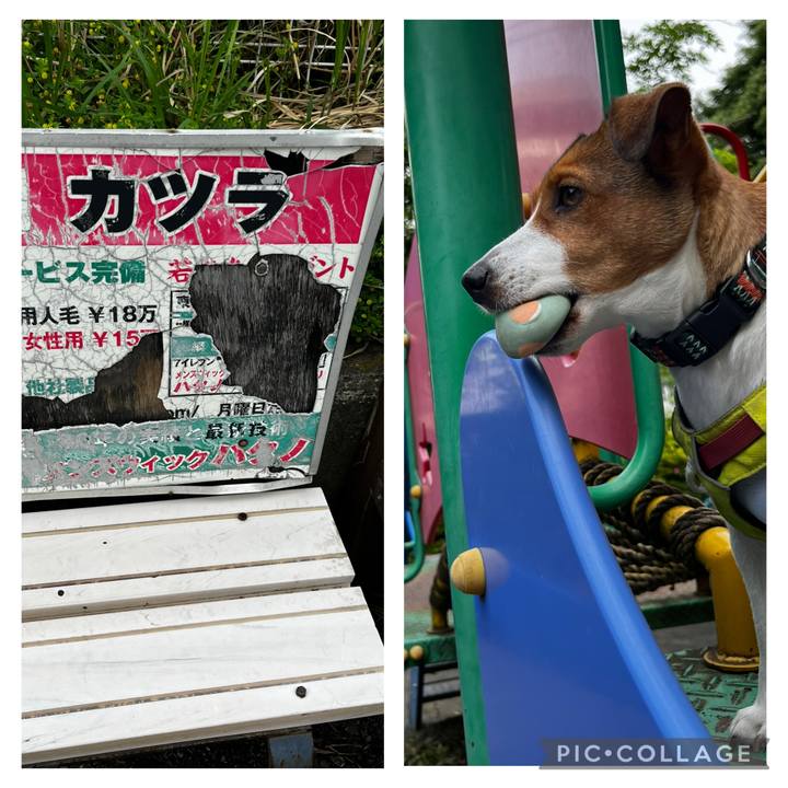 Fa02016c 0346 4b9d 9206 9d924531e342 1747639151220