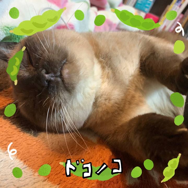 Fa020a0e ba0f 434c af5d 145a953ff8e0 1720917744626