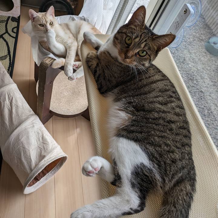 Fa020d5e 0d42 4cb9 933e 769a0f752a0c 1689373341776