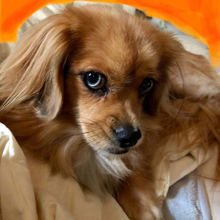 Fa020da9 8995 4691 98c9 cd45f38b29da 1570415426483