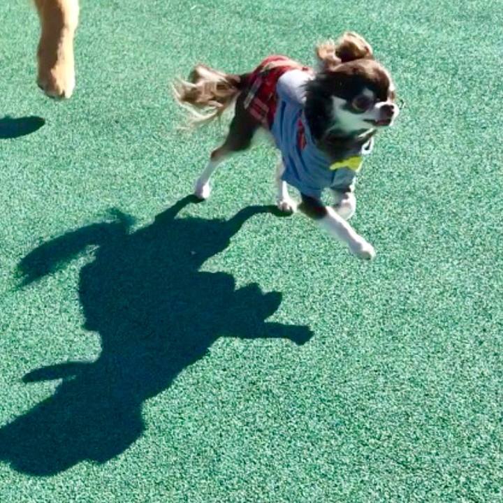 Fa021d64 cea7 45ba 9c32 7e4ca7f3c2e7 1543531614730