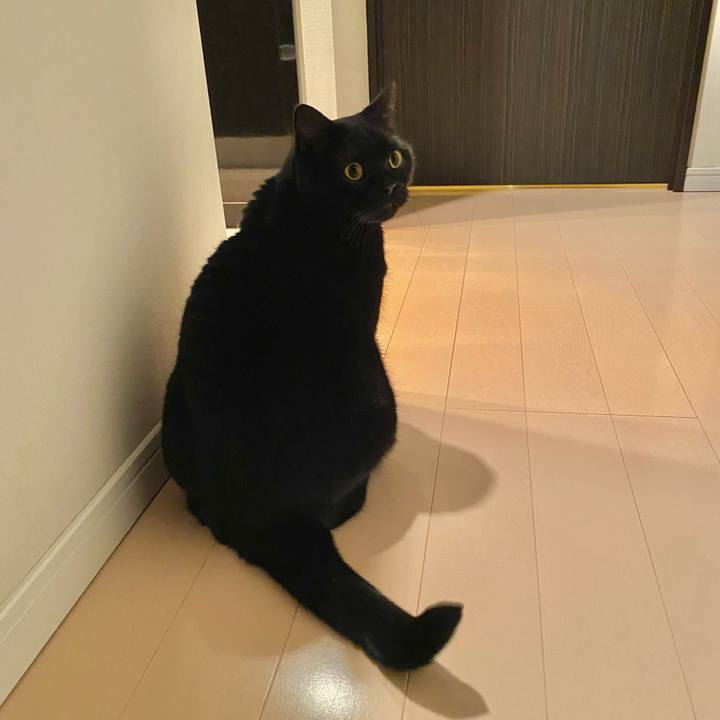 Fa02359c e0ee 4f00 b910 3b2d27a42c79 1703249757190