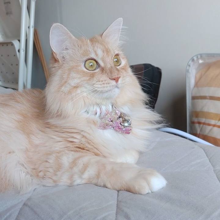 Fa024022 3a2b 4a7b a95c c6188e63ed4f 1689817551581