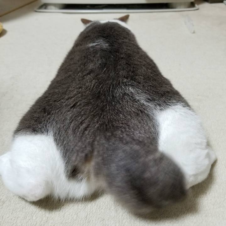 Fa0271f9 99eb 4313 aefc fad9b056c21f 1510139232686