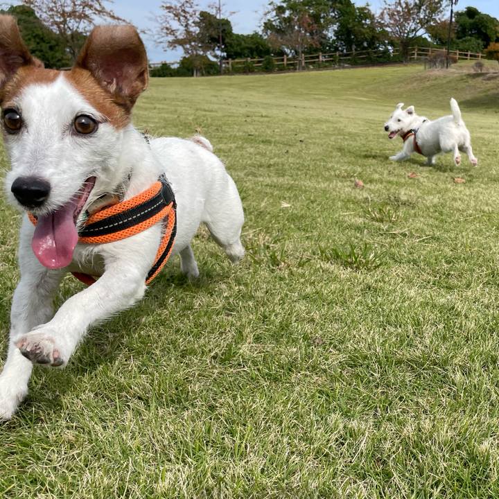 Fa02931e cde1 4264 b731 69fa776a880f 1761359388805