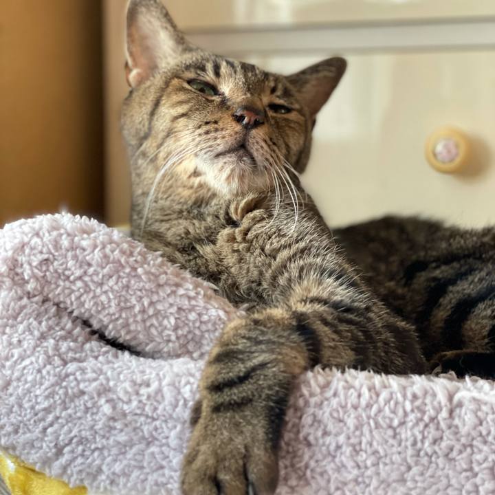 Fa02bae8 f505 46a8 a9bd b1295d3afc4f 1631152171244