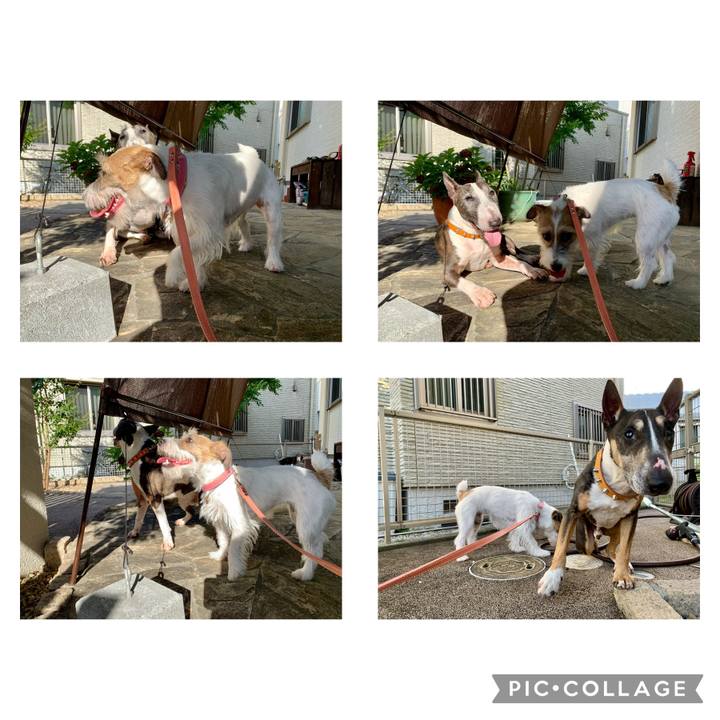 Fa02bde0 6ab3 4031 9231 8f73351516d1 1627006537801