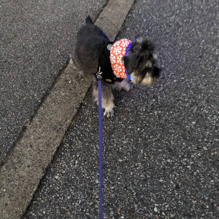 Fa02ee51 fcdd 492f a0e9 2a3c9748c6ab 1690725237771