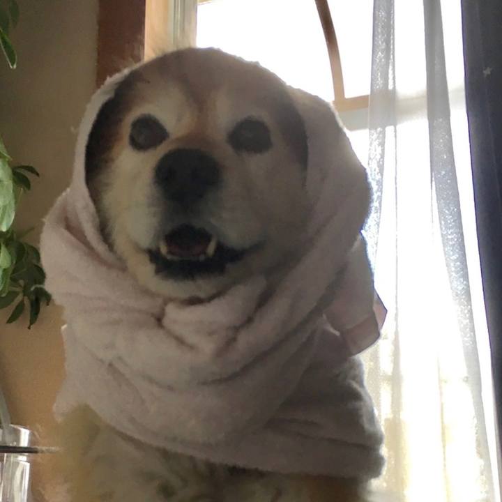 Fa030275 be2f 40b2 ab3a da4827be1d80 1596675613677