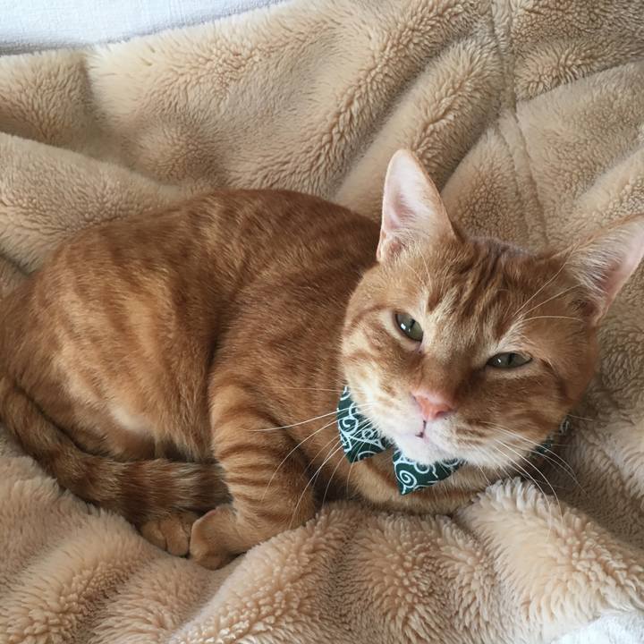 Fa03117f 5ae1 4db8 af1c 826d99e6827f 1547868721716