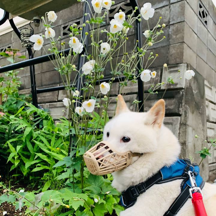 Fa032260 94c7 419f a152 61c90e8d2a26 1663622696878