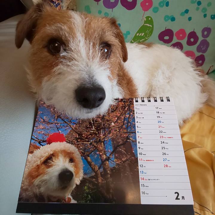 Fa03295a 855d 48b7 996c d725fff24f16 1614485501099