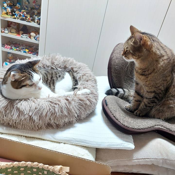 Fa0344b5 dff1 4b1e 97b9 be4f18d36158 1738186607866