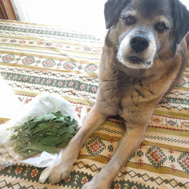 Fa034ebe 883c 44e9 b8ee d64ed32d1207 1523234775923