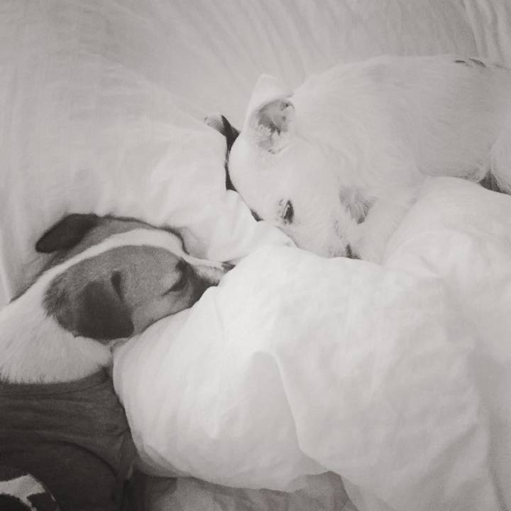 Fa034ee6 bf58 482d a7b1 5effa49b209e 1562080021792