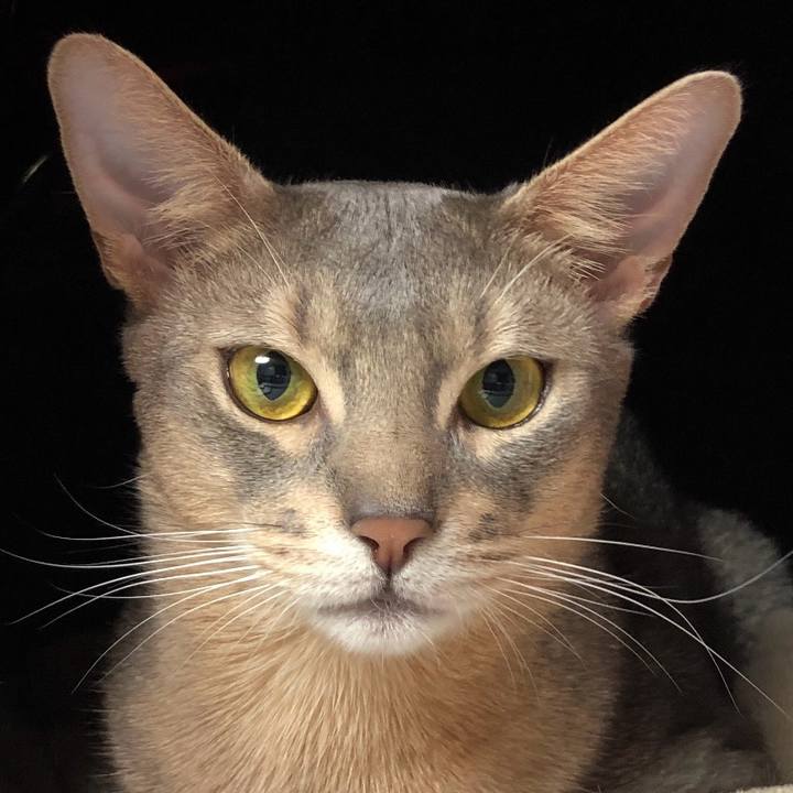 Fa036f8e eb2a 4ca0 9b83 a49dc49e9358 1764214897864