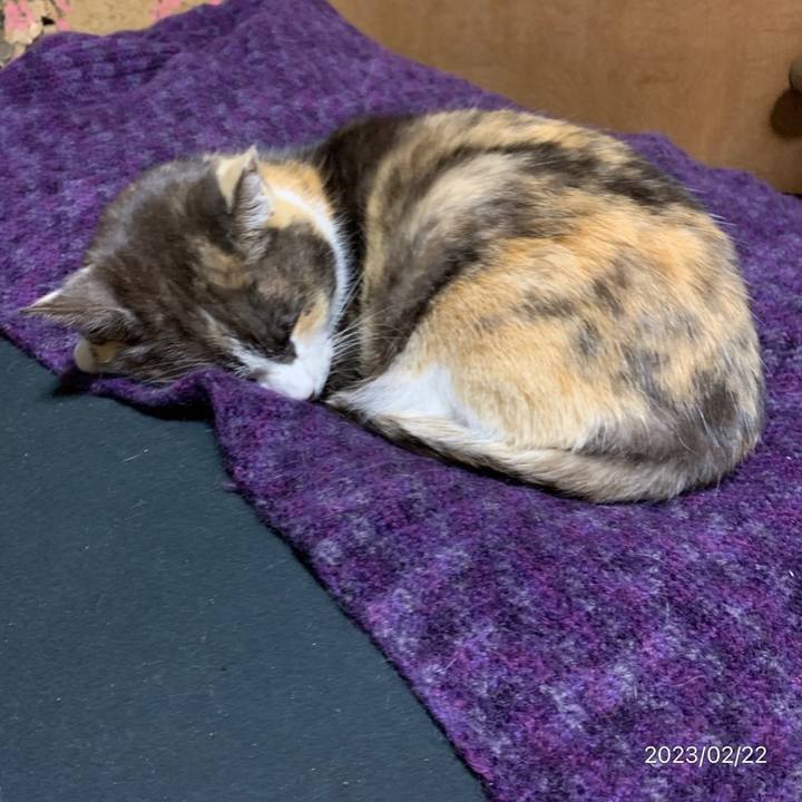 Fa037042 9eae 47a7 aa74 0d79c6133ea7 1677017303013