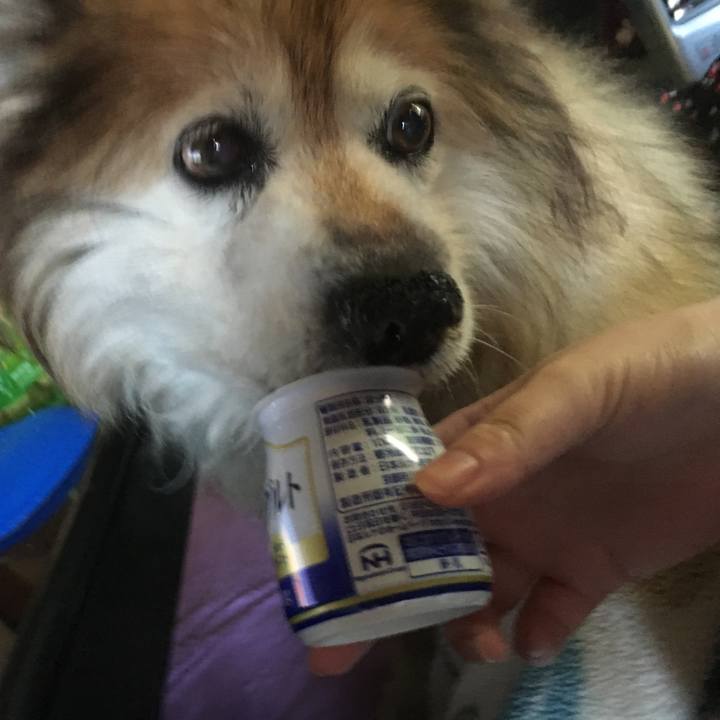 Fa03bac6 f1f4 4040 8a40 93ce43f82261 1565805597527