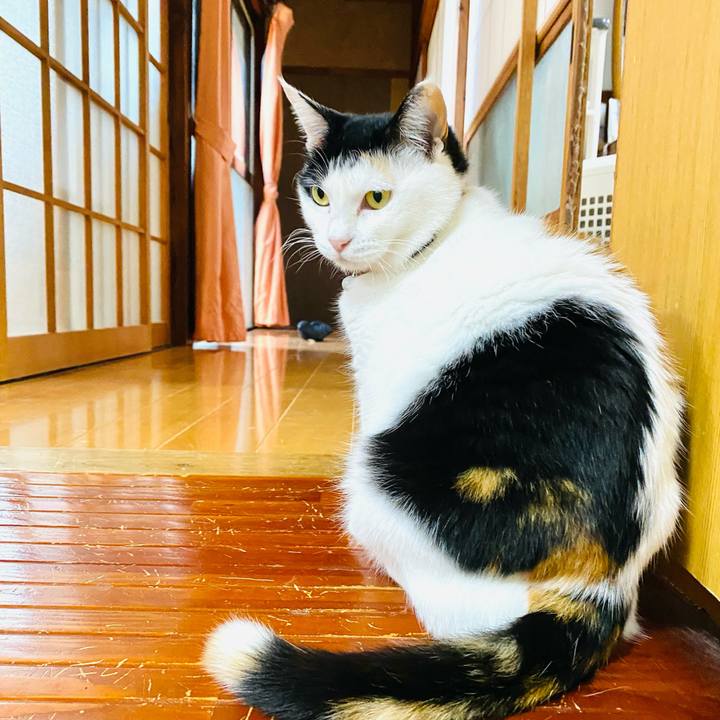 Fa03cdeb e9ee 4c86 b189 5912118d47b3 1684276014291