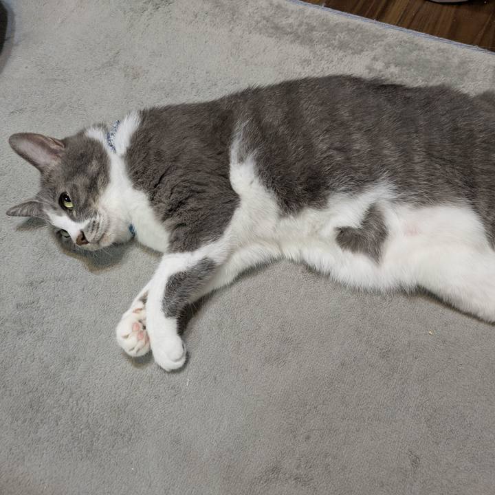 Fa0407b0 f4a7 4925 8005 80413c9e1210 1756043917177