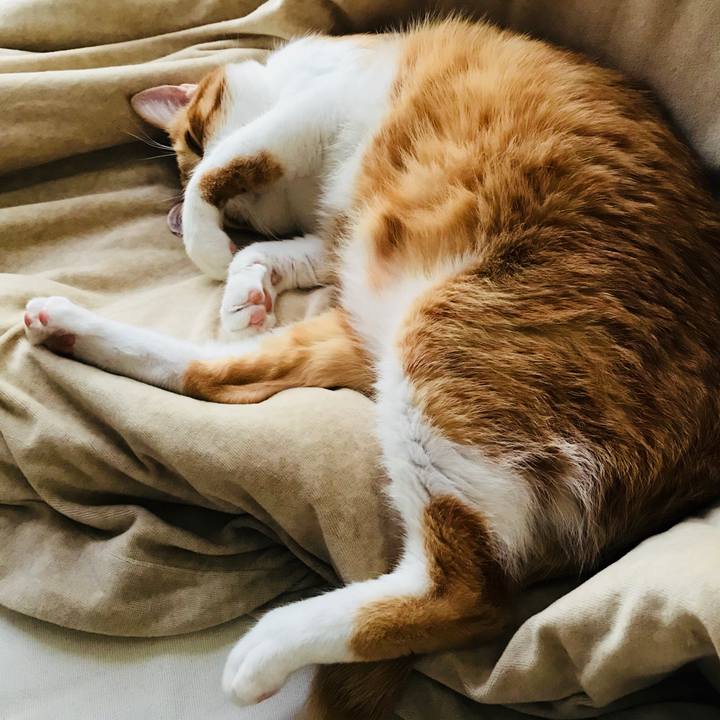 Fa044b7b 9d85 42ee 897e 2aced9778de4 1511155418645