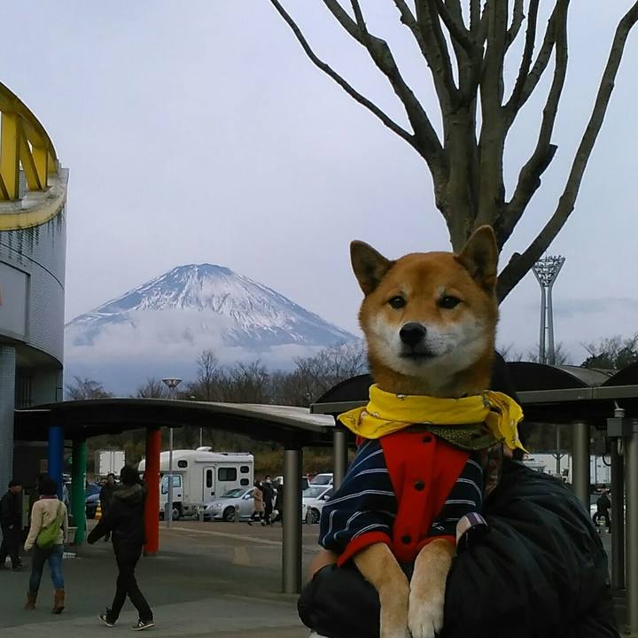 Fa044cbb c2a0 4017 8343 31ed9105fd88 1514075590384