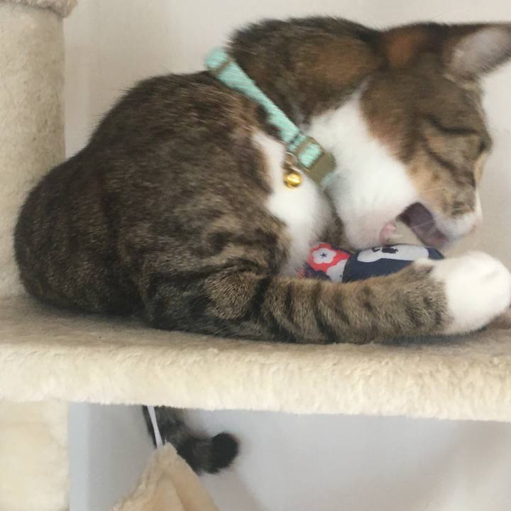 Fa0451c8 9904 4d1e 810f d0e9943baaba 1700710247709