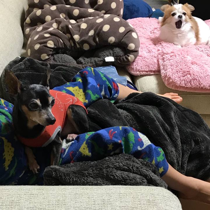 Fa045bf1 970e 44ed 9dd1 e0988258d94a 1520068970586