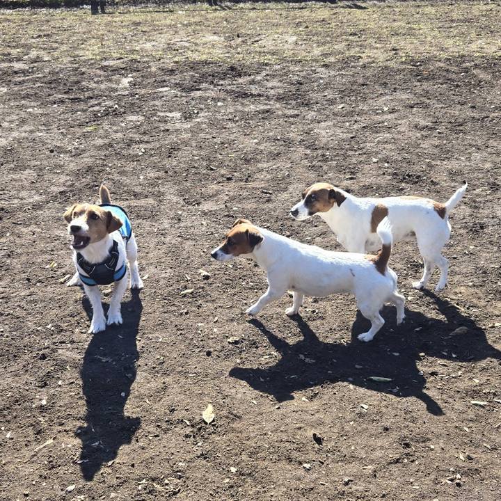 Fa047ec7 a5e9 4859 897c 6474a526700d 1762175162740