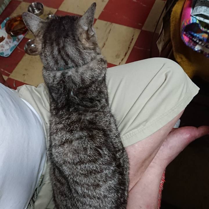 Fa0483fc fcf7 4a58 8c8f 6234bb89e463 1563916446622