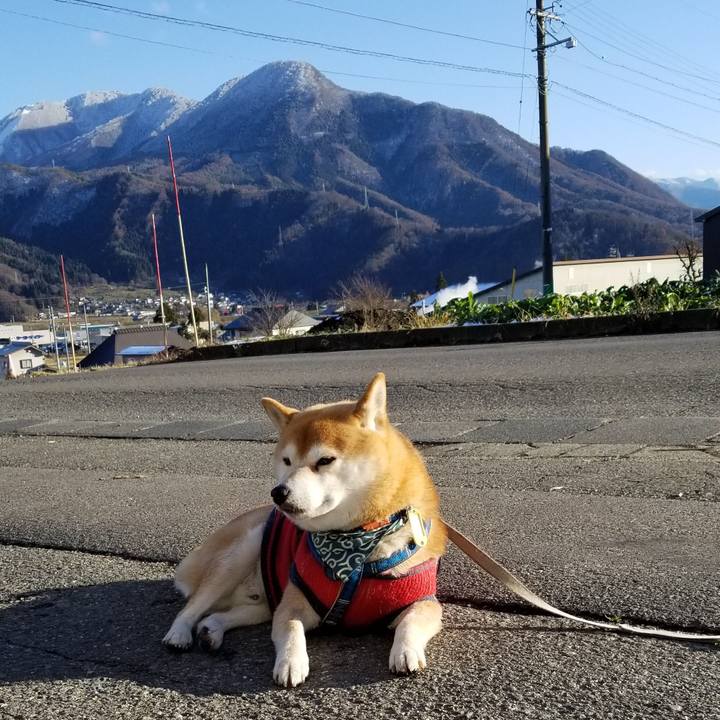 Fa04d525 d1a5 4835 8563 cb93c880549a 1544422043827