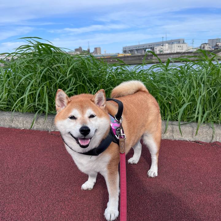 Fa050726 a2ea 42ec 956e d4ff8eae6053 1695518863431